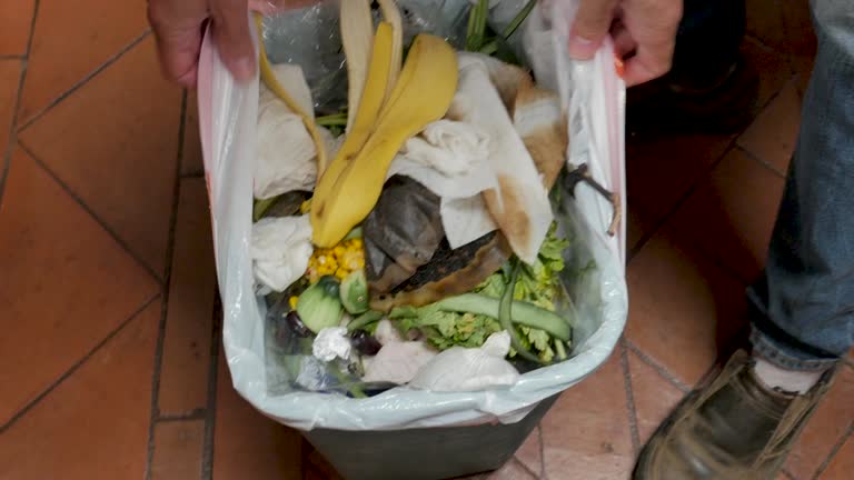 Best Yard Waste Removal  in Woodlawn, VA